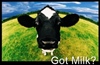 Delaware Milk